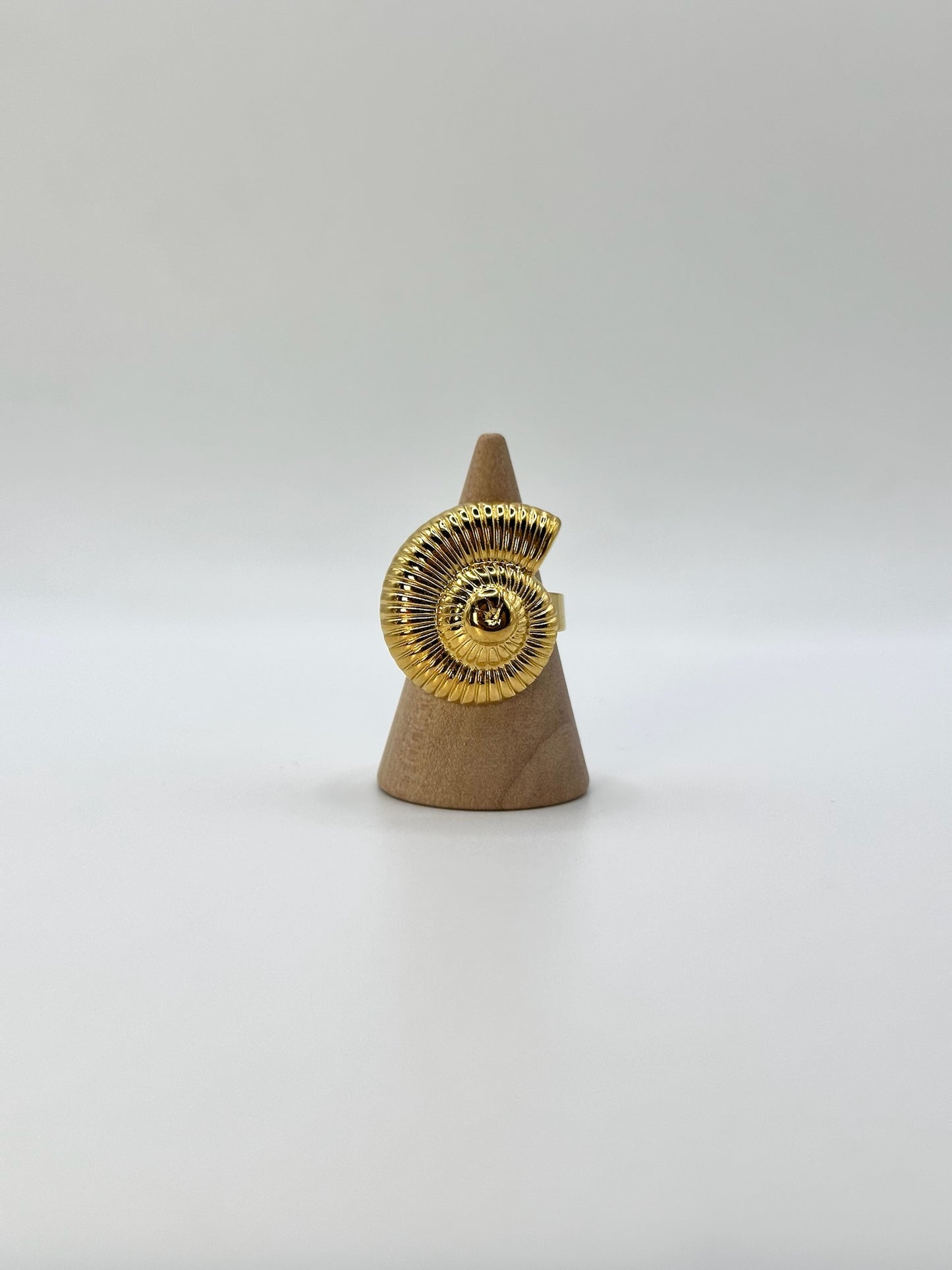 Anello “SPIRALE”